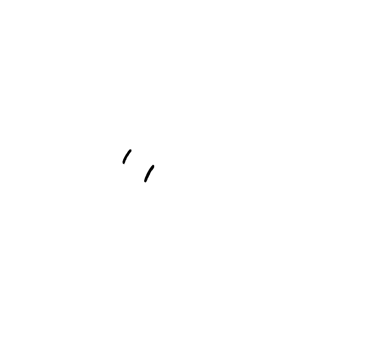 Wingull silhouette